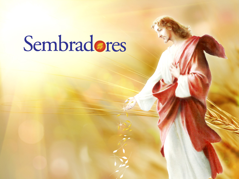 banner-sembradores