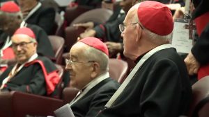 Read more about the article X Congregación General. Los 133 cardenales electores ya están en Roma