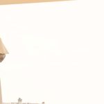 El Papa en el Ángelus: recemos por la paz en Oriente Medio, Ucrania y el mundo
