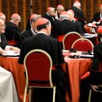 Nuevo Consistorio en junio, el Papa: haremos uno cada año