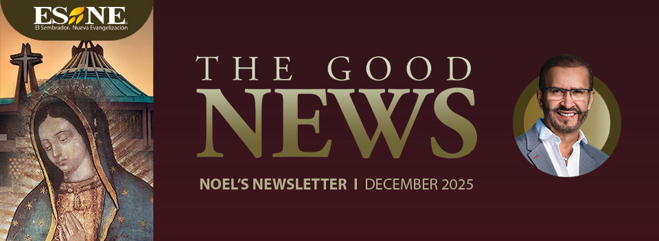 Read more about the article December 2025