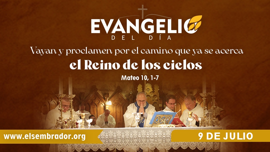 Imagen para Miércoles de la XIV semana del Tiempo ordinario