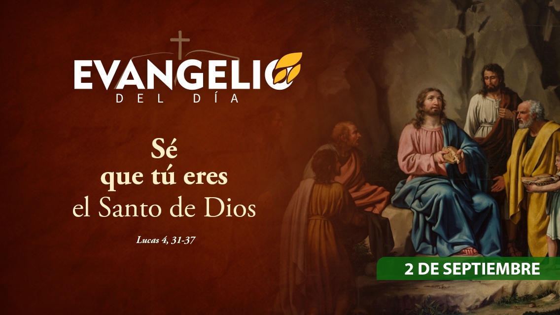 Imagen para Martes de la XXII semana del Tiempo ordinario