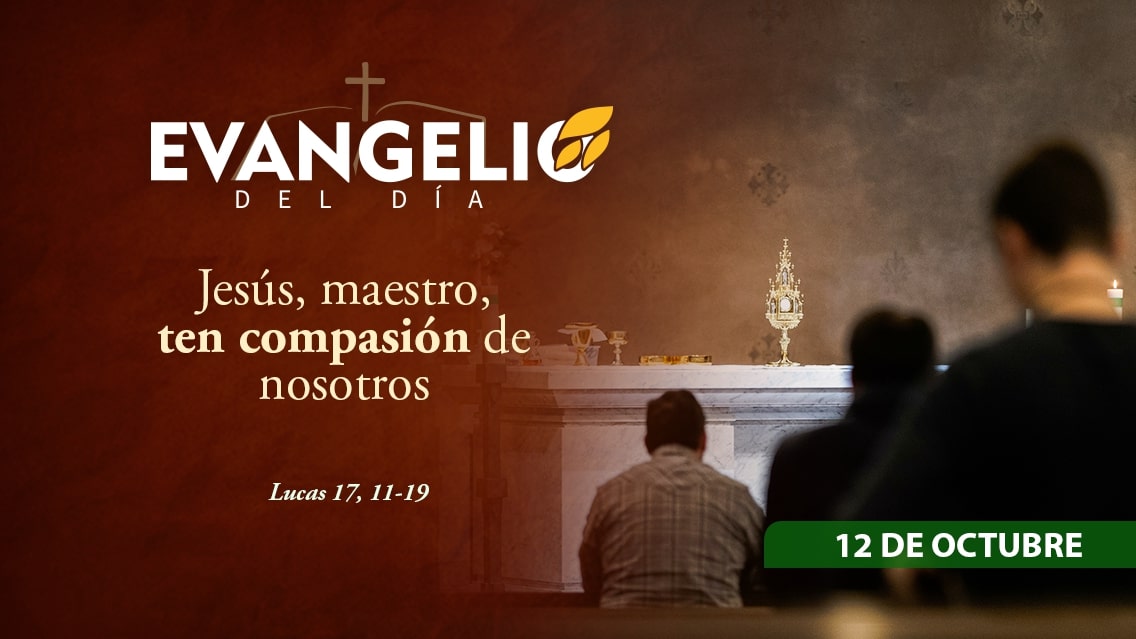 Imagen para XXVIII Domingo ordinario