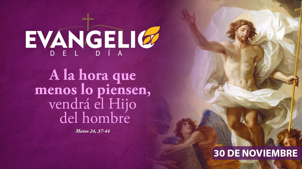 Imagen para I Domingo de Adviento