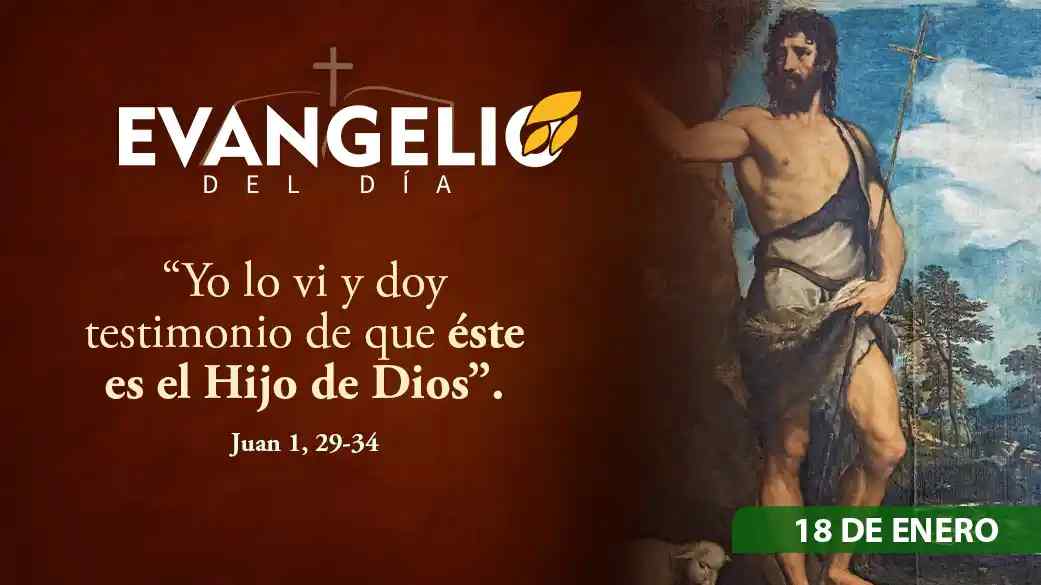 Imagen para II Domingo Ordinario