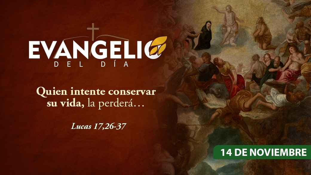 Imagen para Viernes de la XXXII semana del Tiempo ordinario