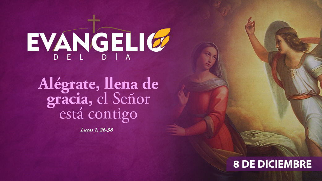Imagen para Solemnidad de la Inmaculada Concepción de la Santísima Virgen María