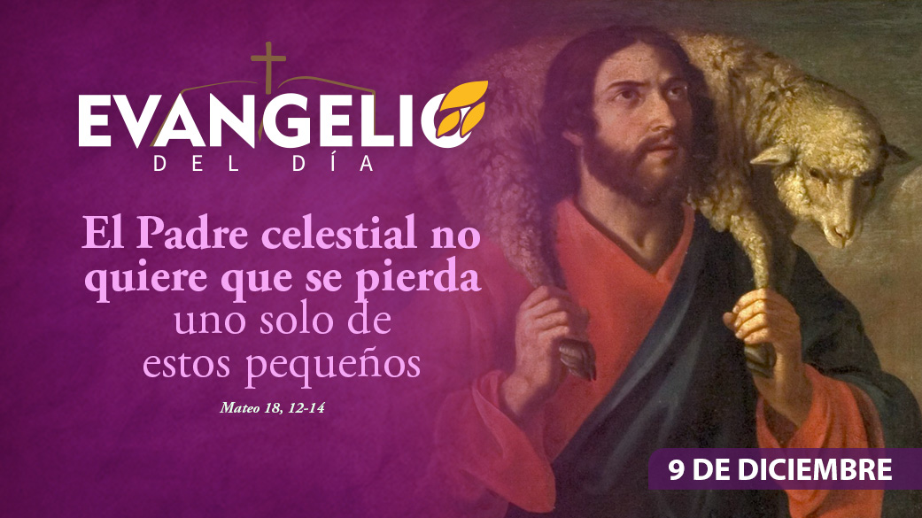 Imagen para Martes de la segunda semana de Adviento