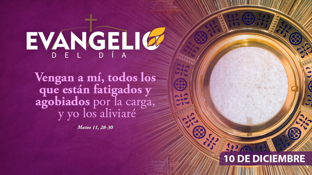 Imagen para Miércoles de la segunda semana de Adviento