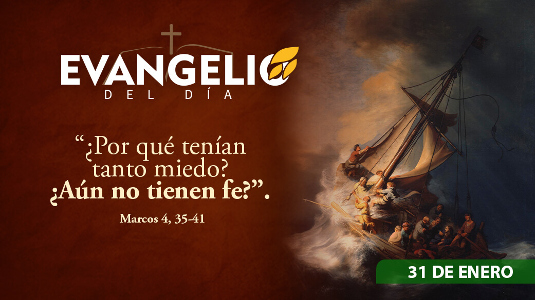 Imagen para Memoria de San Juan Bosco, presbítero