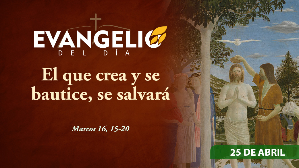 Imagen para Fiesta de San Marcos, evangelista