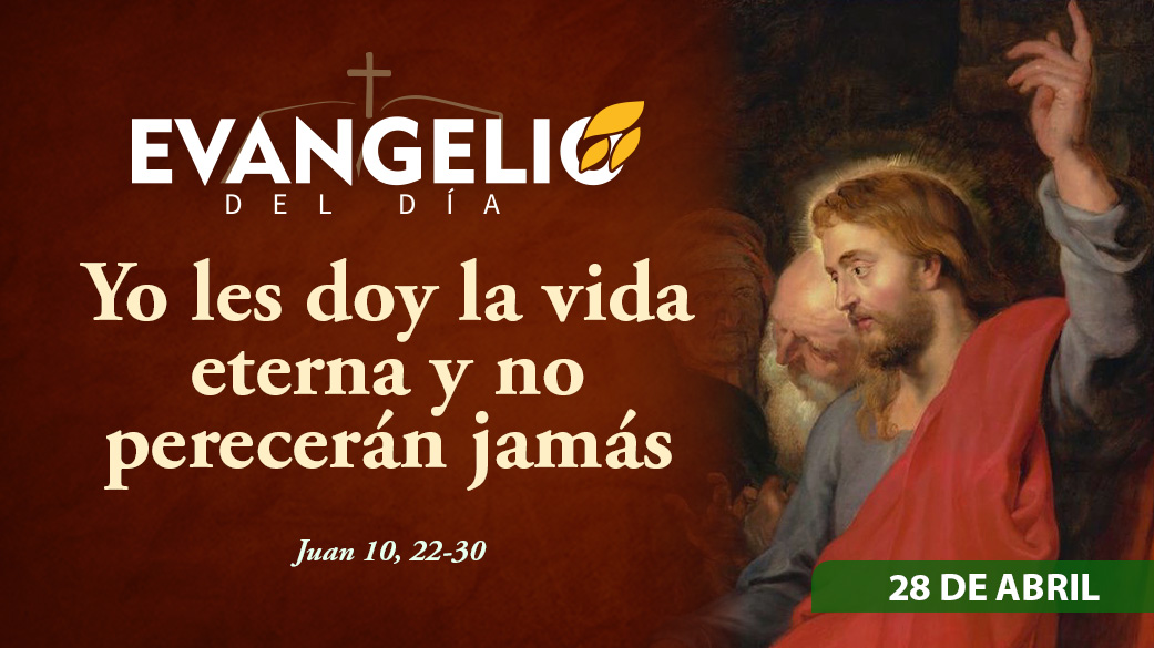 Imagen para Martes de la IV semana de Pascua