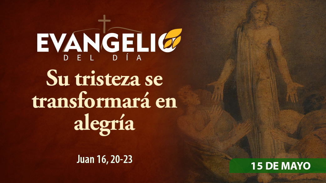 Imagen para Viernes de la VI semana de Pascua