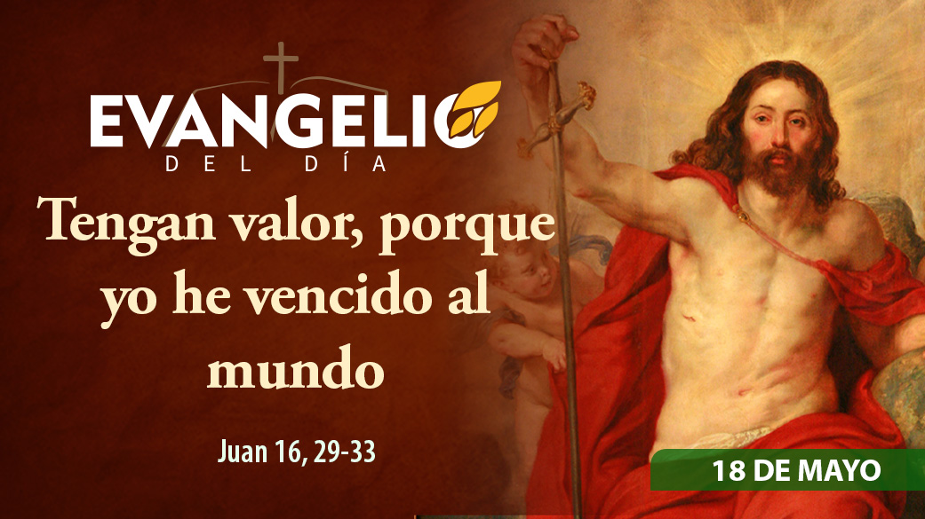 Imagen para Lunes de la VII semana de Pascua