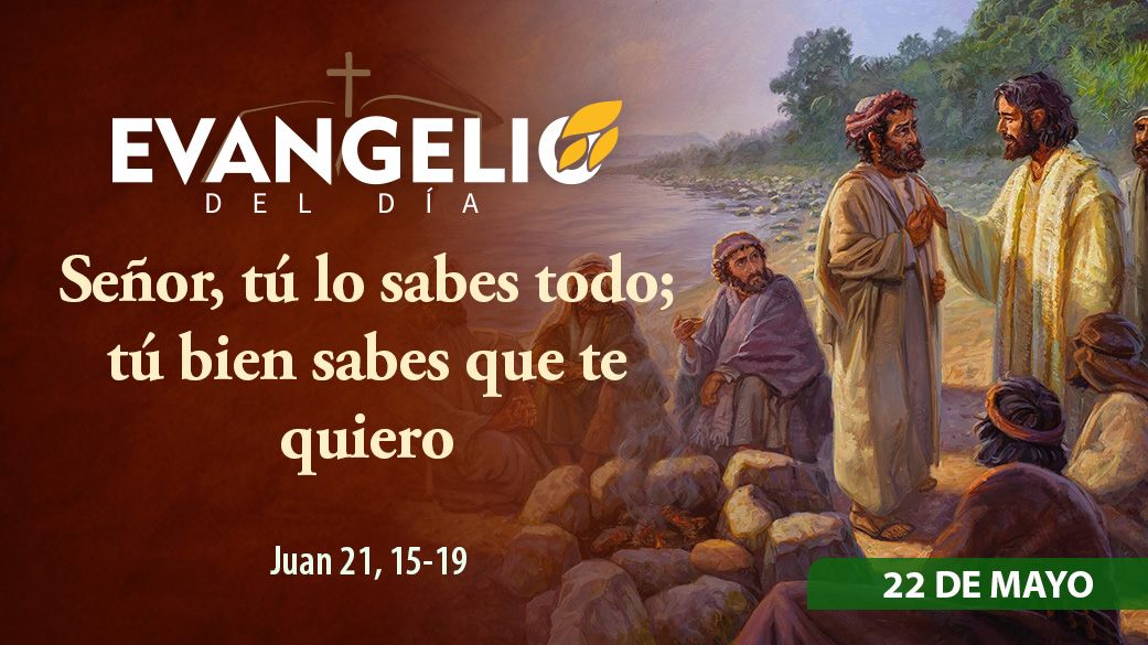 Imagen para Viernes de la VII semana de Pascua